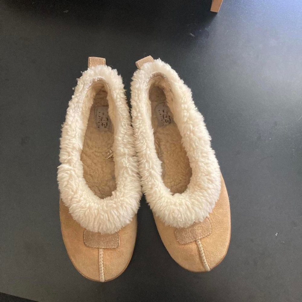 Low top Uggs